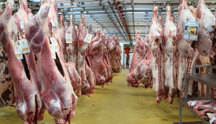 آماری از تورم نقطه به نقطه تولید گوشت قرمز در کشور