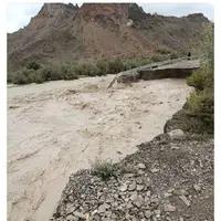 تخریب وحشتناک یک پل در ایرانشهر بر اثر سیل