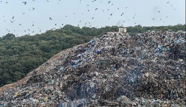 50 درصد از 700 تن زباله تولیدی در قم قابلیت دفن مستقیم ندارند